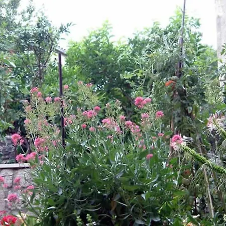 Apartment Bura Split